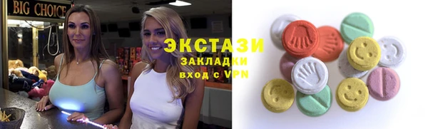 дмт Богородицк