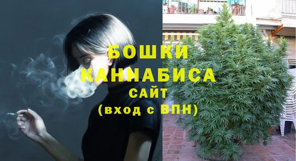 дмт Богородицк