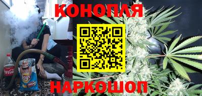 шишки Камышлов