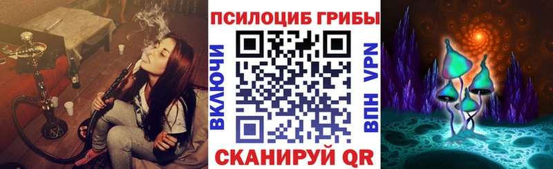 Псилоцибиновые грибы Psilocybine cubensis  omg tor  Маркс 
